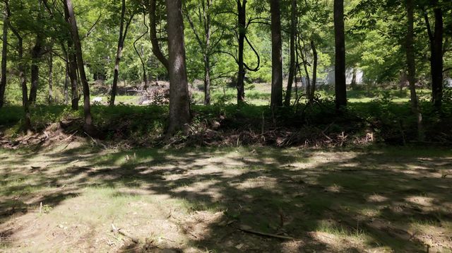 1233 Dog Trot Road, Frenchburg, KY 40322
