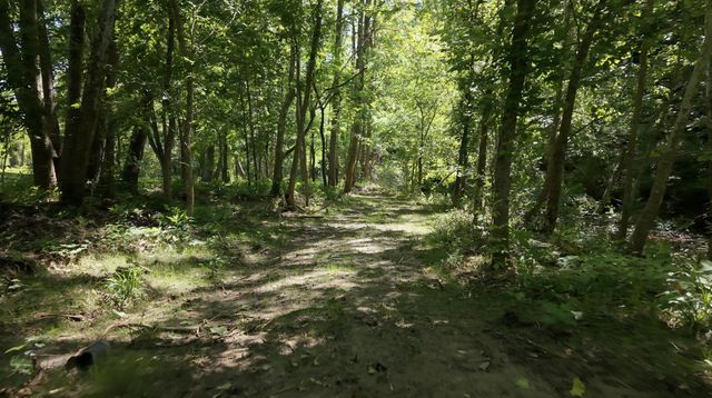 1233 Dog Trot Road, Frenchburg, KY 40322