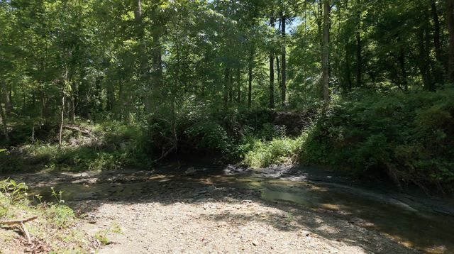 1233 Dog Trot Road, Frenchburg, KY 40322