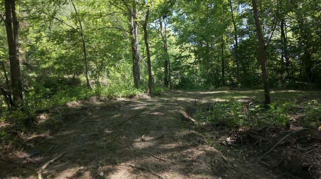 1233 Dog Trot Road, Frenchburg, KY 40322