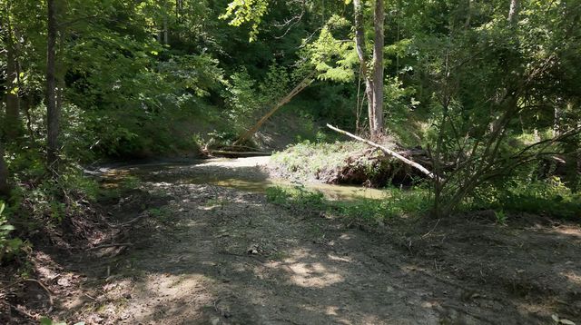 1233 Dog Trot Road, Frenchburg, KY 40322