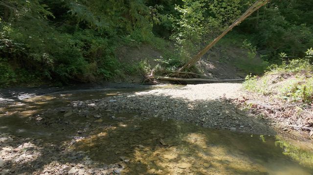 1233 Dog Trot Road, Frenchburg, KY 40322