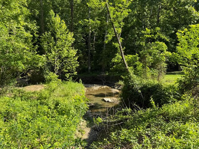 1233 Dog Trot Road, Frenchburg, KY 40322