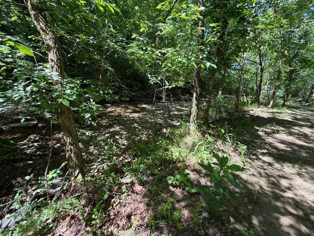 1233 Dog Trot Road, Frenchburg, KY 40322