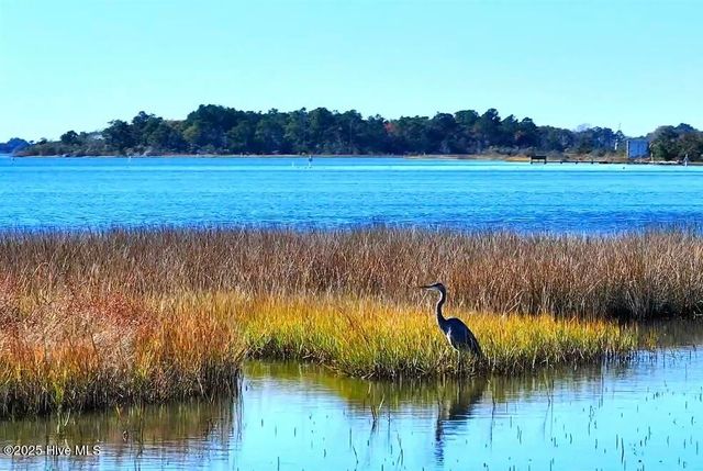 132 Royal Palms Way, Holly Ridge, NC 28445