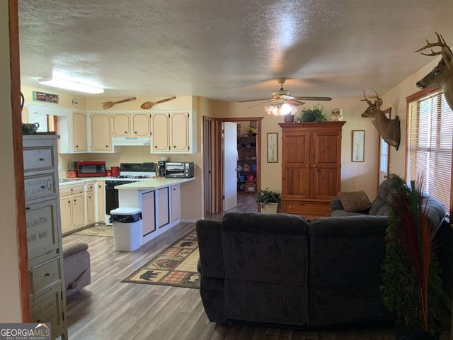 187 Bierce Drive, Young Harris, GA 30582