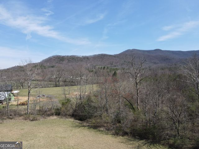 187 Bierce Drive, Young Harris, GA 30582