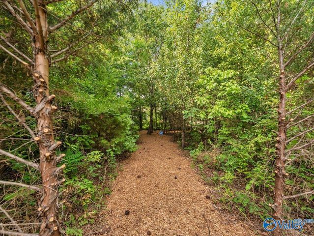 26 Cobbs Cove Way SE, Huntsville, AL 35803