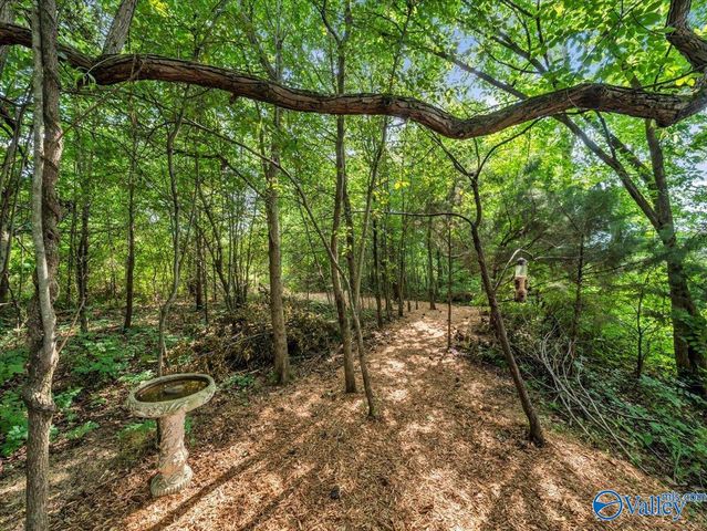 26 Cobbs Cove Way SE, Huntsville, AL 35803