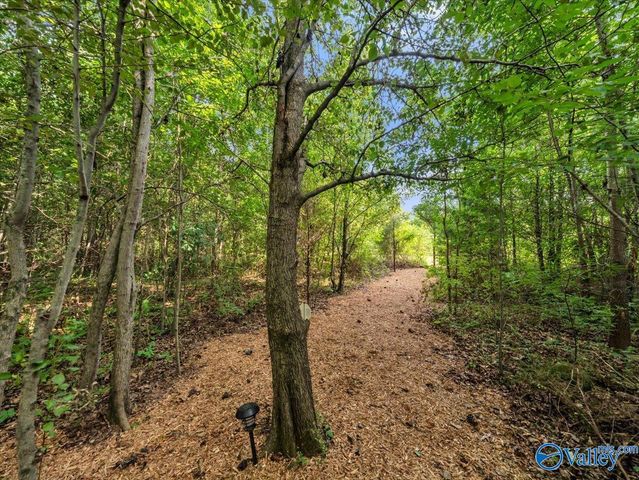 26 Cobbs Cove Way SE, Huntsville, AL 35803