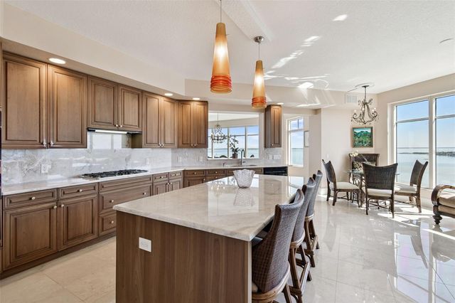 4201 BAYSHORE BOULEVARD 1501, Tampa, FL 33611