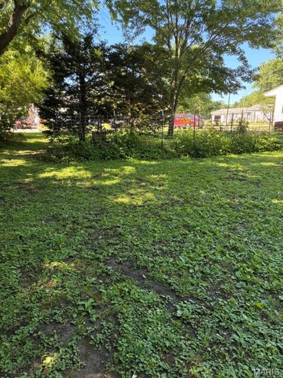Image 43 of property listing at 393 W Oak Street, Palmyra, IL 62674