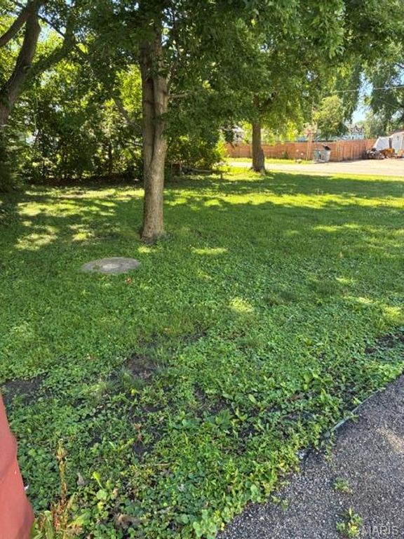 Image 44 of property listing at 393 W Oak Street, Palmyra, IL 62674