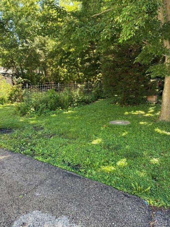 Image 45 of property listing at 393 W Oak Street, Palmyra, IL 62674
