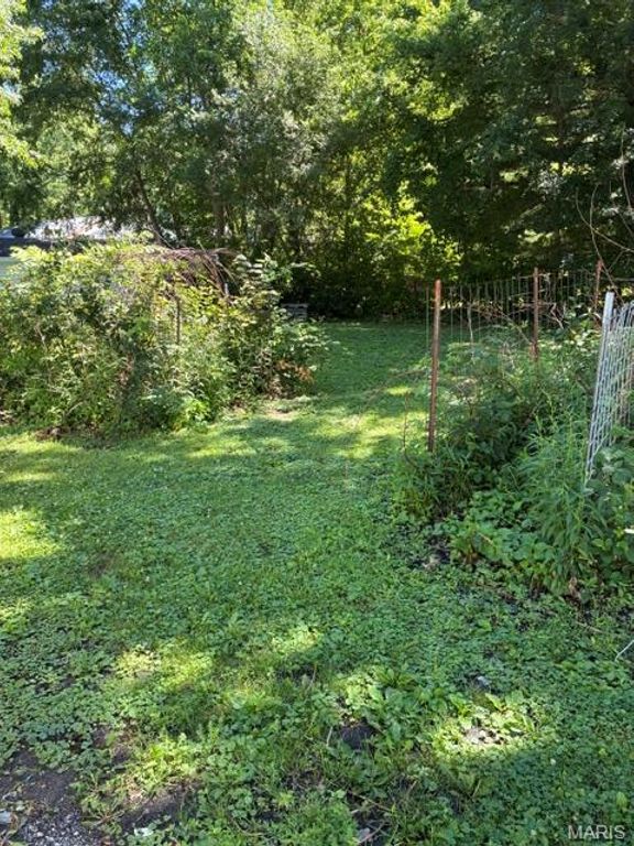 Image 47 of property listing at 393 W Oak Street, Palmyra, IL 62674