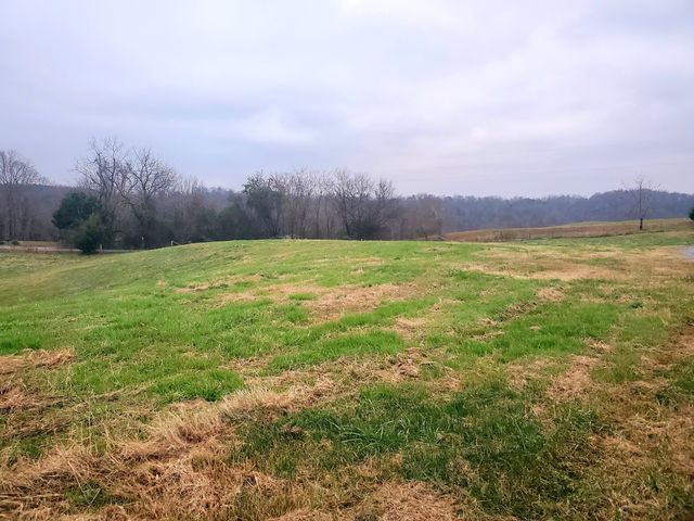 0 Potts Camp Rd, Smithville, TN 37166