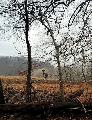 0 Potts Camp Rd, Smithville, TN 37166