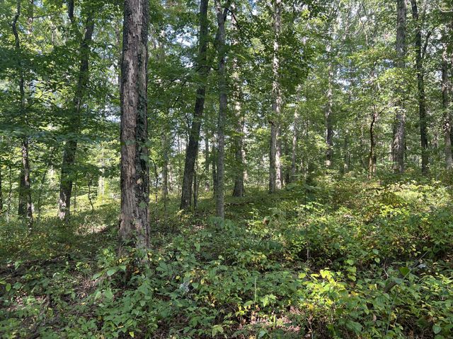 7872 Oscar Green Rd, Primm Springs, TN 38476