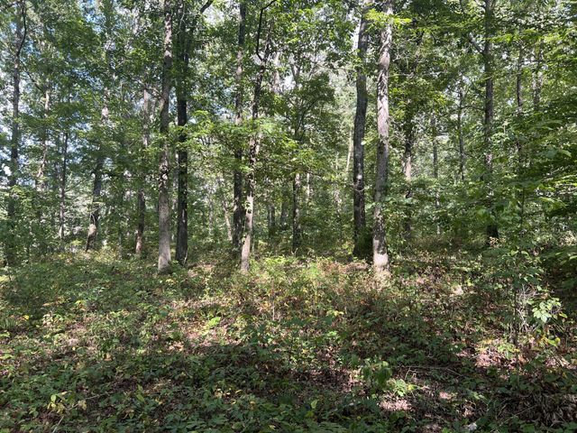 7872 Oscar Green Rd, Primm Springs, TN 38476