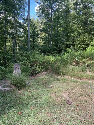 7872 Oscar Green Rd, Primm Springs, TN 38476