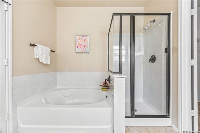 24207 Bitter Crimson, San Antonio, TX 78261