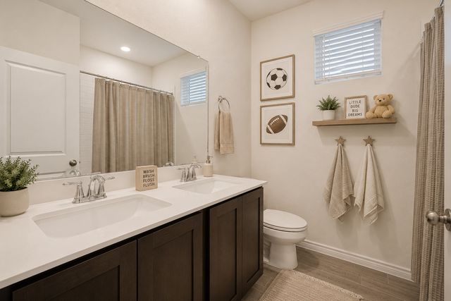 10624 Echo Brook Lane, Aubrey, TX 76227