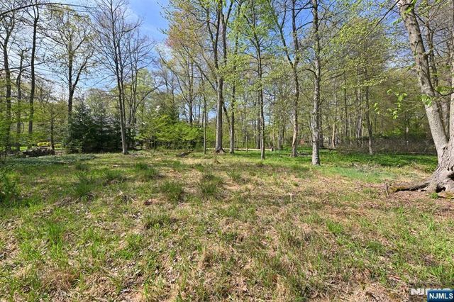 43 Twin Brooks Road, Saddle River, NJ 07458
