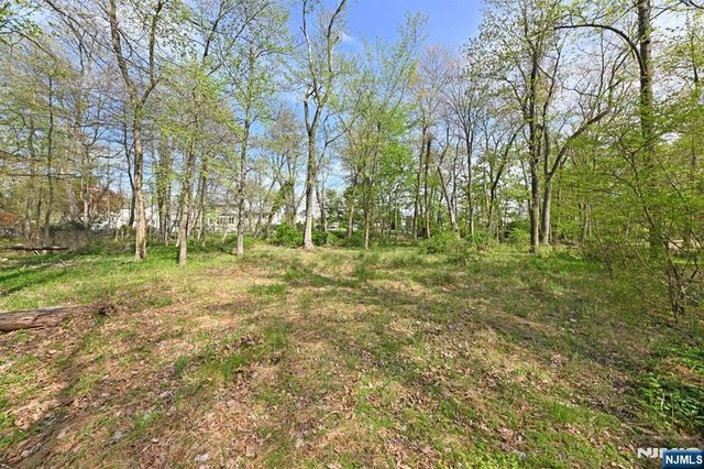 43 Twin Brooks Road, Saddle River, NJ 07458