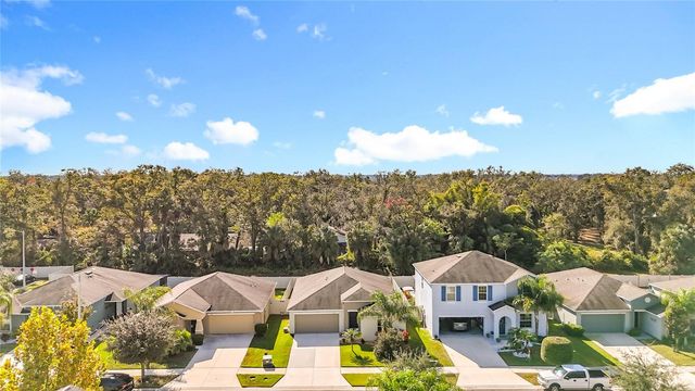 10215 SHIMMERING KOI WAY, Riverview, FL 33578