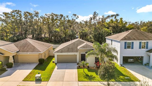 10215 SHIMMERING KOI WAY, Riverview, FL 33578