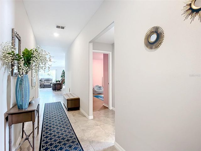 10215 SHIMMERING KOI WAY, Riverview, FL 33578