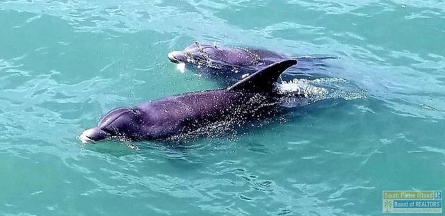 60 Abalone Circle, Port Isabel, TX 78578