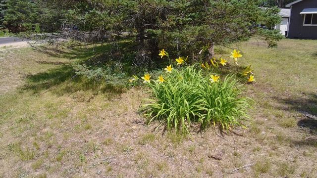 201 Autumn Lane, Markey Twp, MI 48653