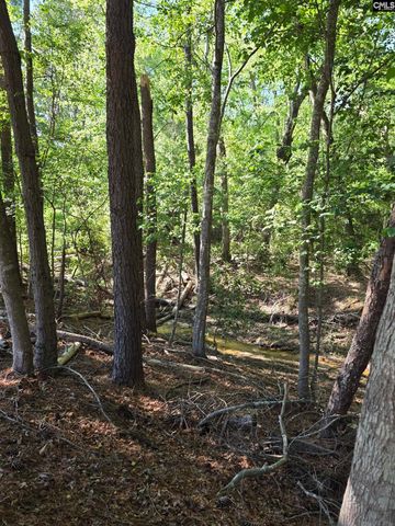 551 Seton Hall Drive, Columbia, SC 29223