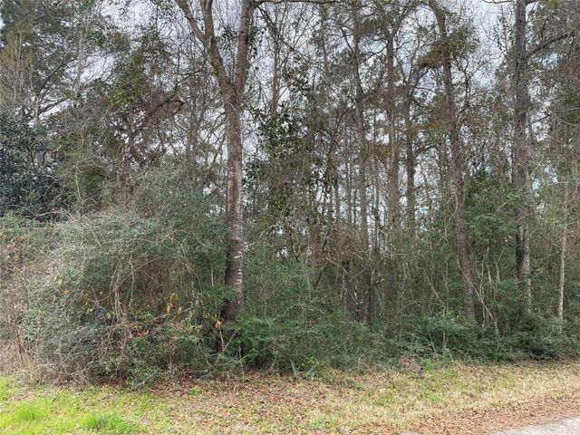 0 Codner Drive, Shepherd, TX 77371