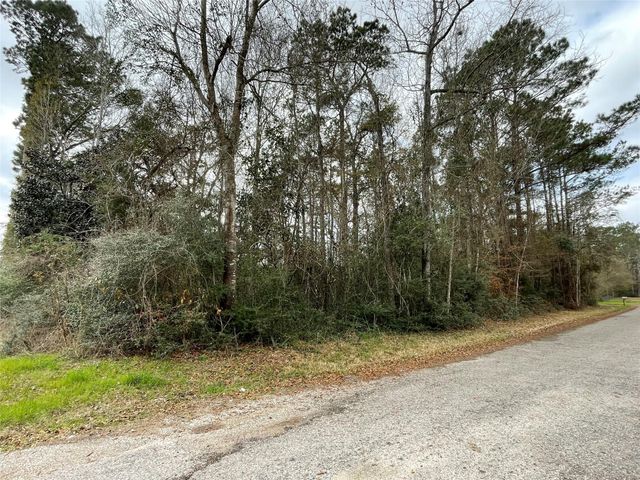 0 Codner Drive, Shepherd, TX 77371