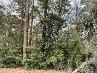 0 Codner Drive, Shepherd, TX 77371