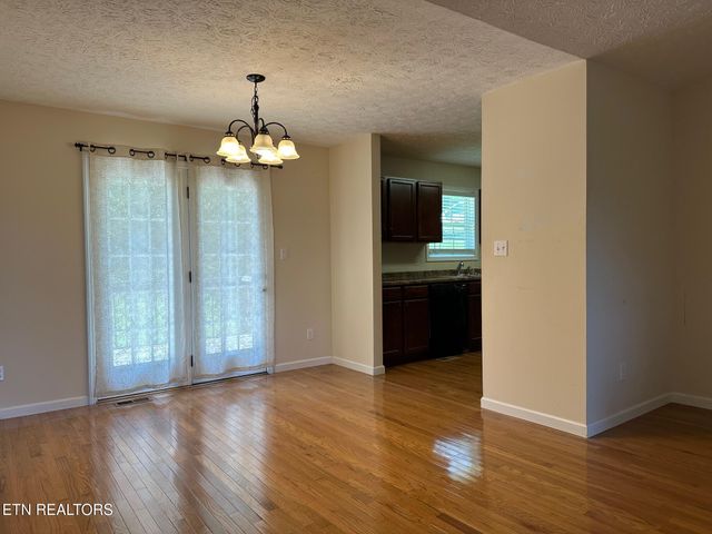 507 New Clear Branch Rd, Rocky Top, TN 37769