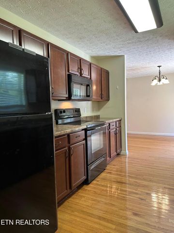507 New Clear Branch Rd, Rocky Top, TN 37769