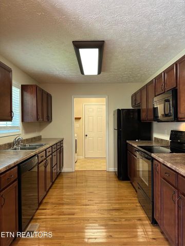 507 New Clear Branch Rd, Rocky Top, TN 37769
