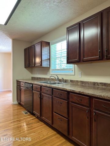 507 New Clear Branch Rd, Rocky Top, TN 37769
