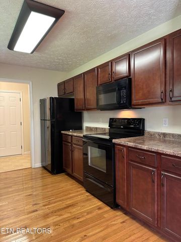 507 New Clear Branch Rd, Rocky Top, TN 37769