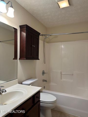 507 New Clear Branch Rd, Rocky Top, TN 37769