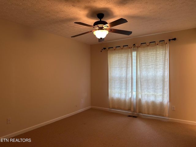 507 New Clear Branch Rd, Rocky Top, TN 37769
