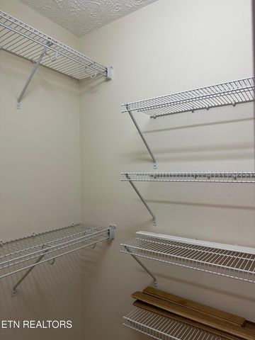 507 New Clear Branch Rd, Rocky Top, TN 37769