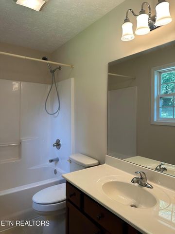 507 New Clear Branch Rd, Rocky Top, TN 37769