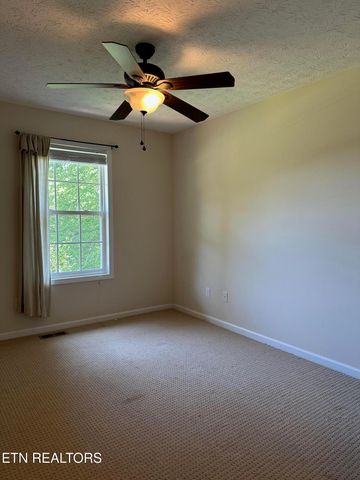 507 New Clear Branch Rd, Rocky Top, TN 37769