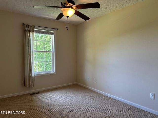 507 New Clear Branch Rd, Rocky Top, TN 37769