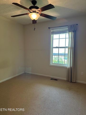507 New Clear Branch Rd, Rocky Top, TN 37769