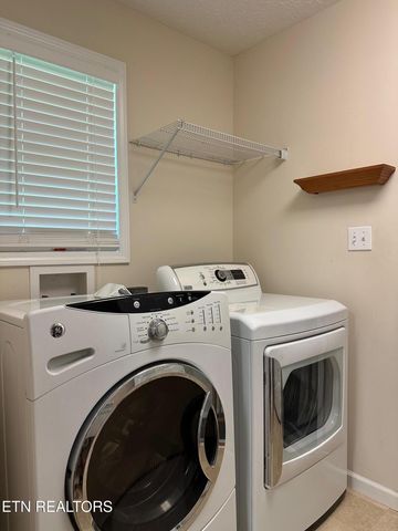 507 New Clear Branch Rd, Rocky Top, TN 37769